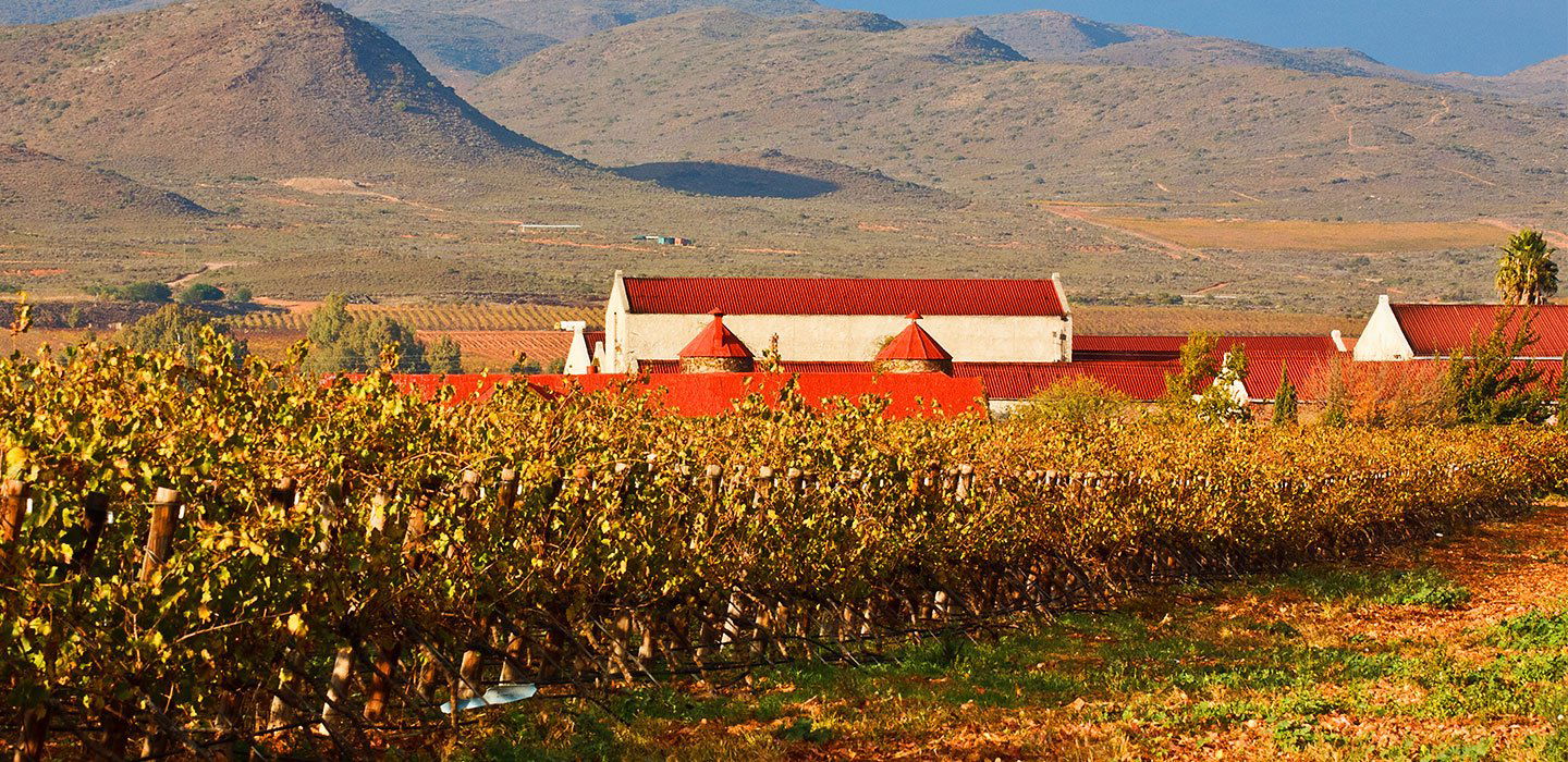 Springfield Estate, Winery in Robertson