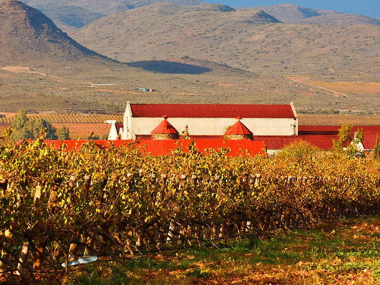 Springfield Estate, Robertson, South Africa