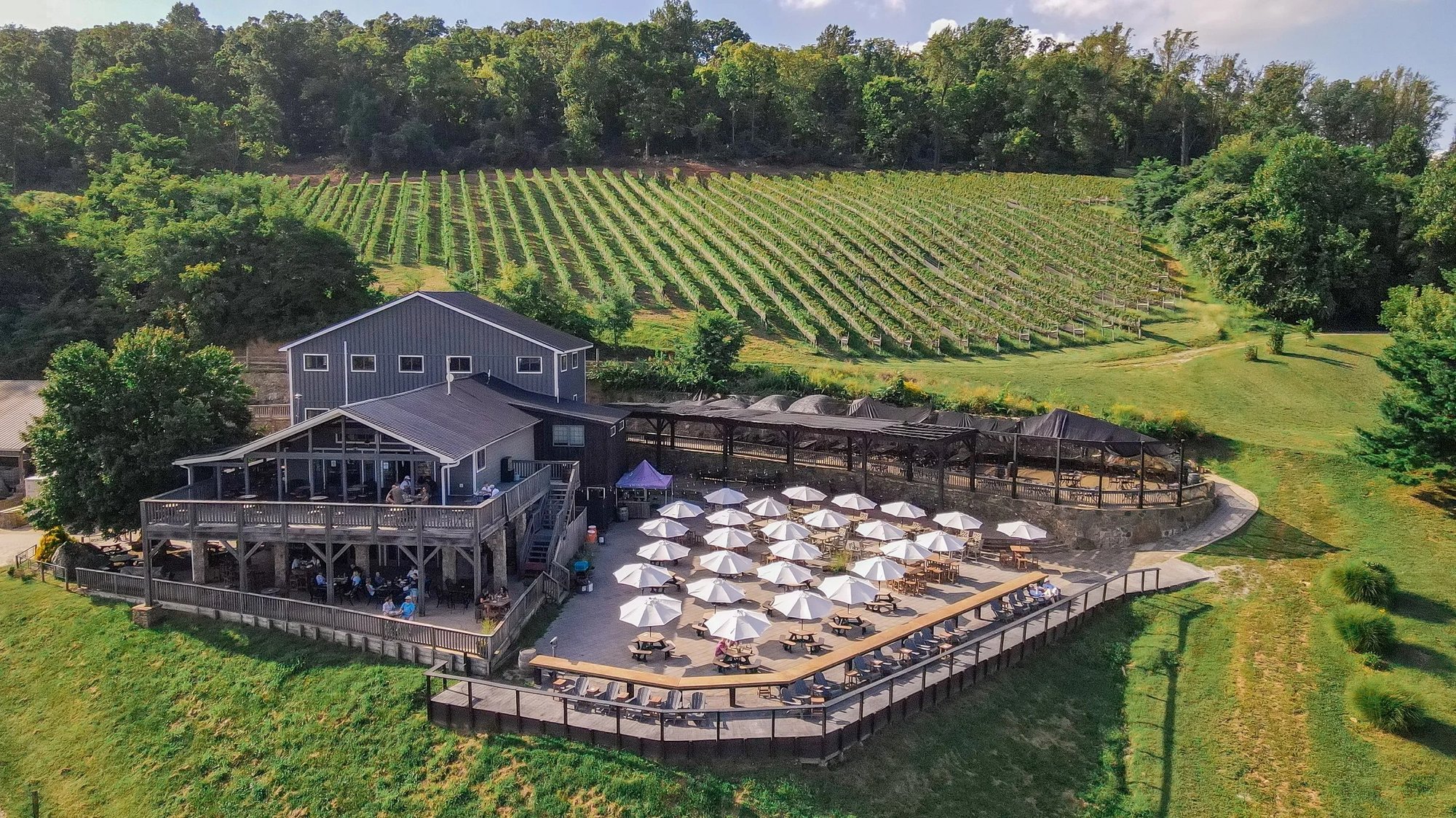 Bluemont Vineyard winery in Bluemont, United States