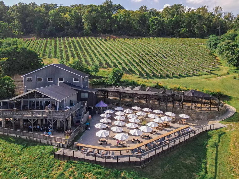 Bluemont Vineyard, Bluemont, United States