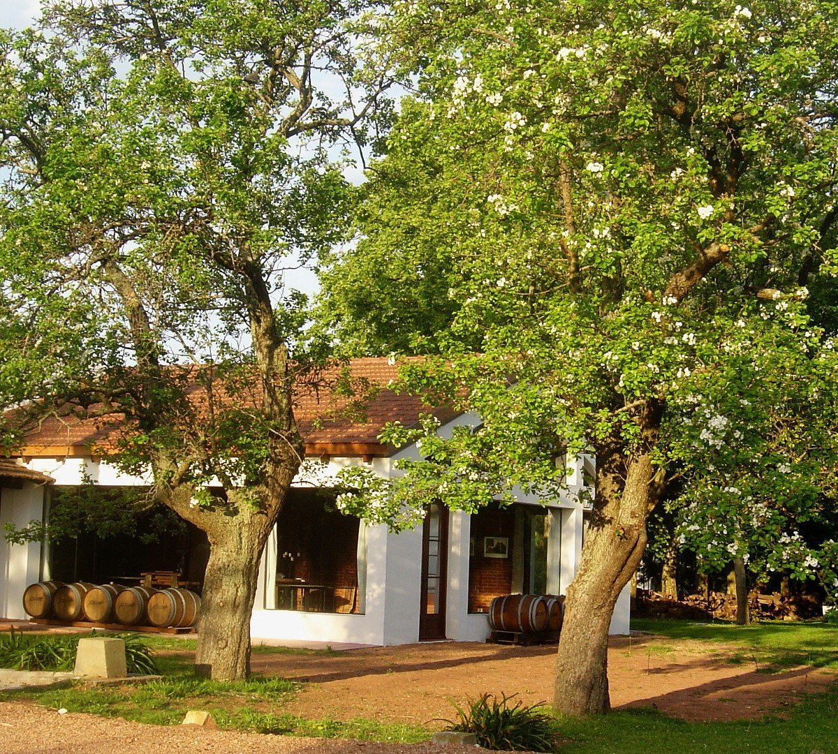 Bodega Carrau winery in Las Piedras, Uruguay