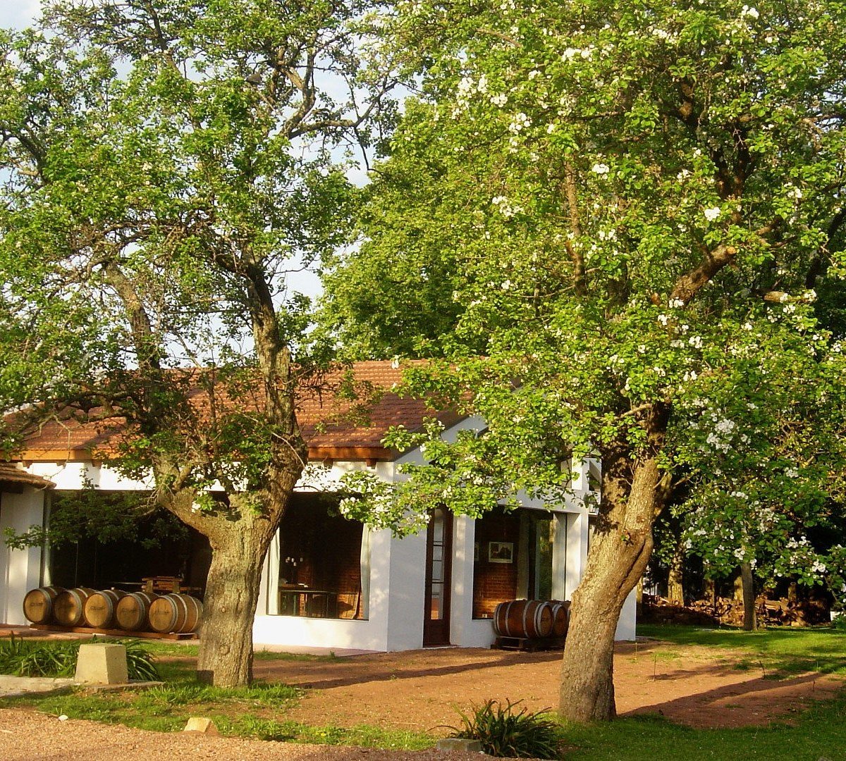 Bodega Carrau winery in Las Piedras, Uruguay