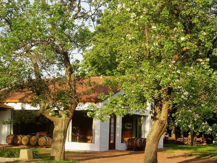 Bodega Carrau, Las Piedras, Uruguay