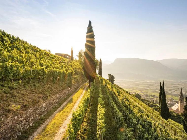 Elena Walch, Termeno, Italy