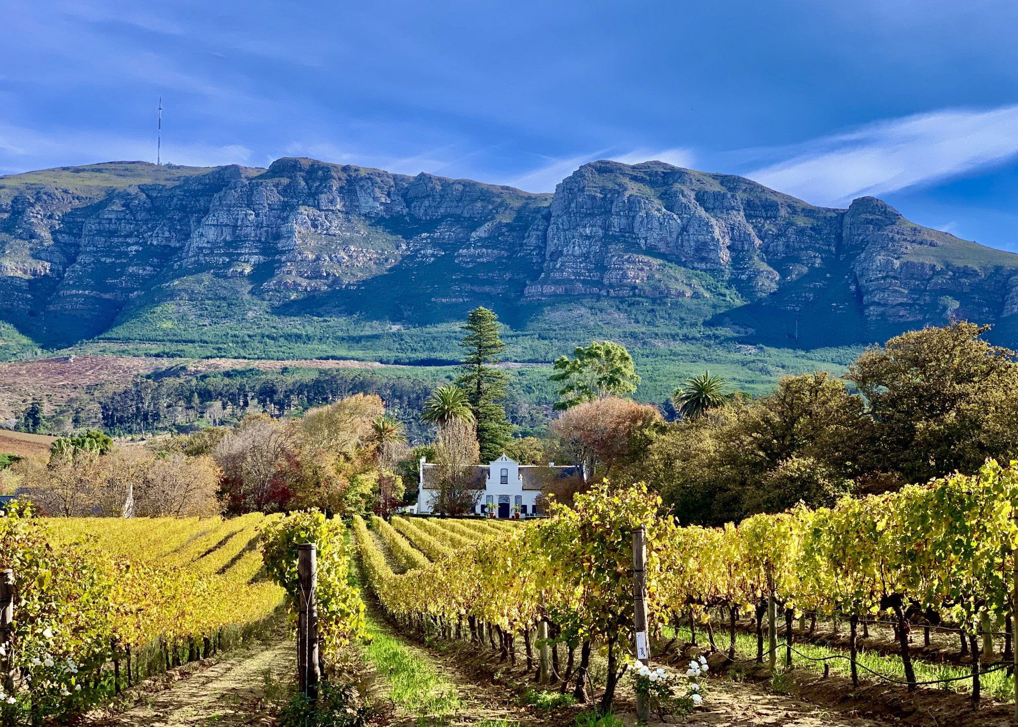 Buitenverwachting winery in Cape Town, South Africa