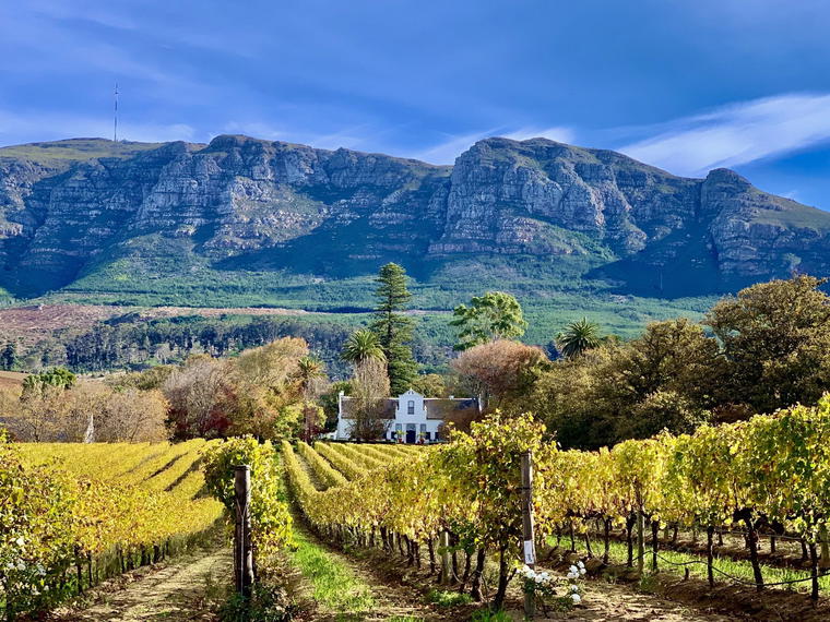 Buitenverwachting, Cape Town, South Africa