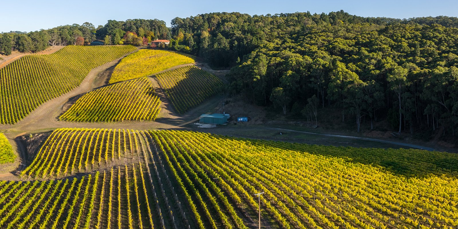 Murdoch Hill winery in Adelaide Hills, Australia