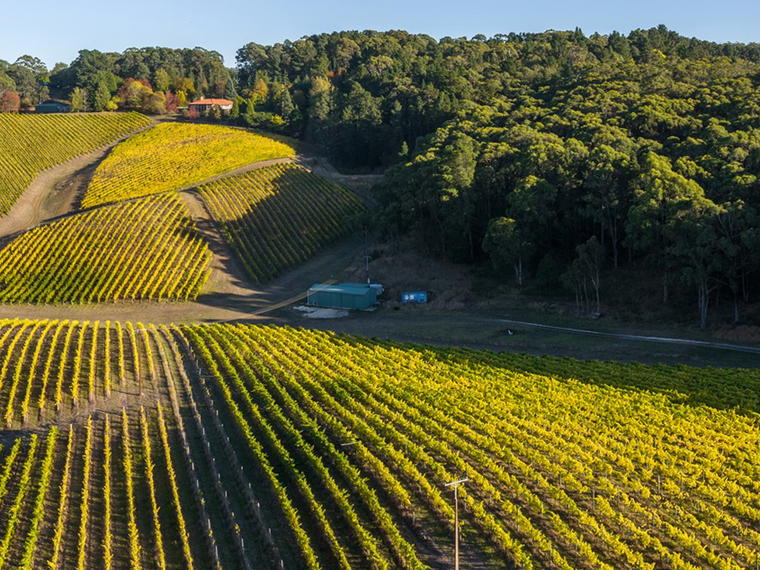Murdoch Hill, Adelaide Hills, Australia