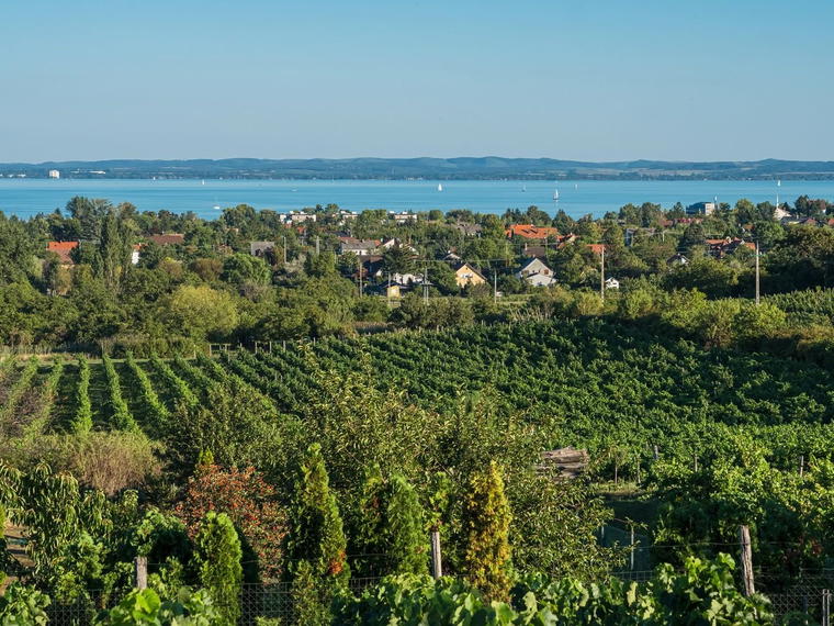 Jásdi Winery, Csopak, Hungary