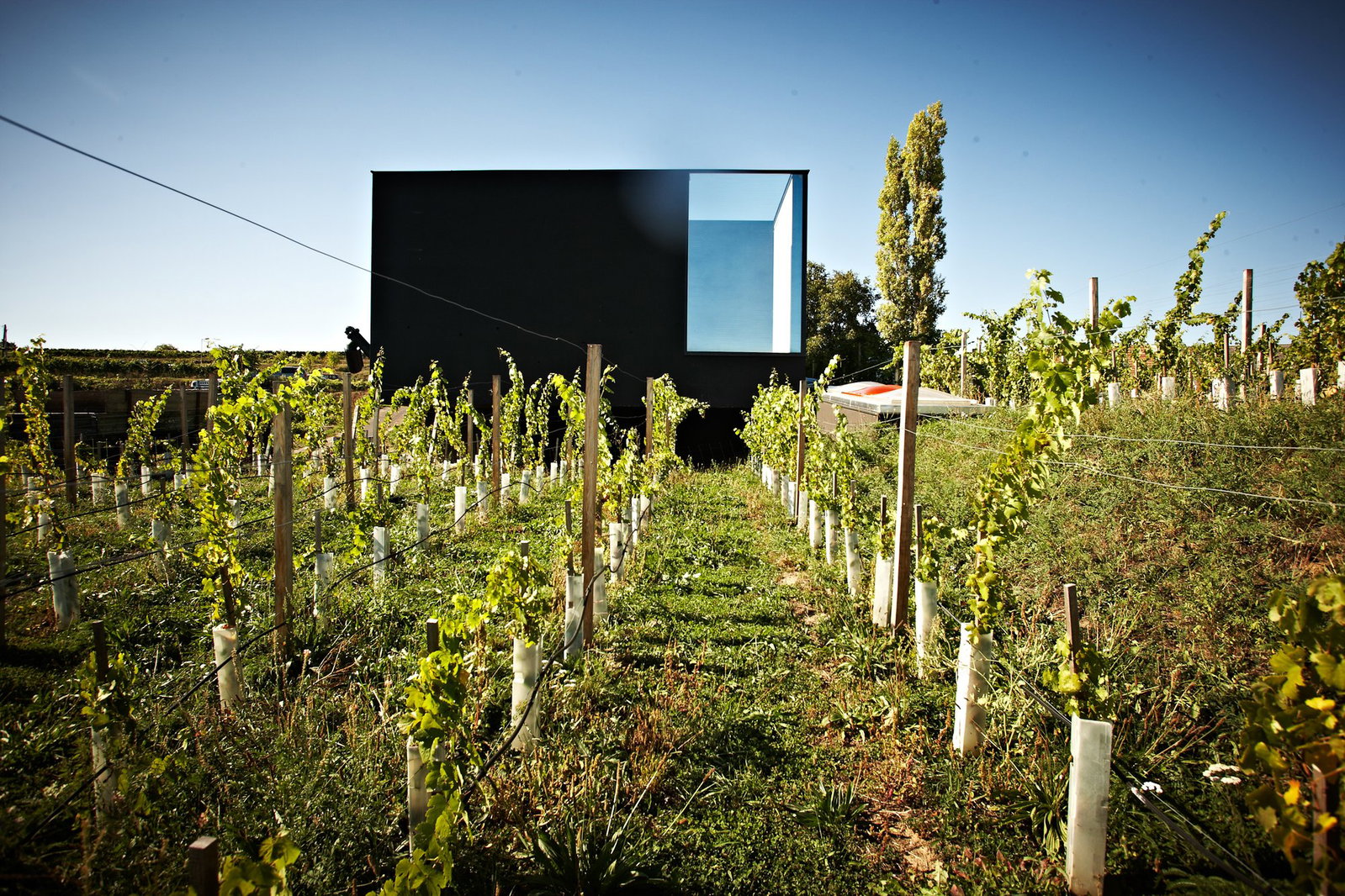 Weingut Fred Loimer