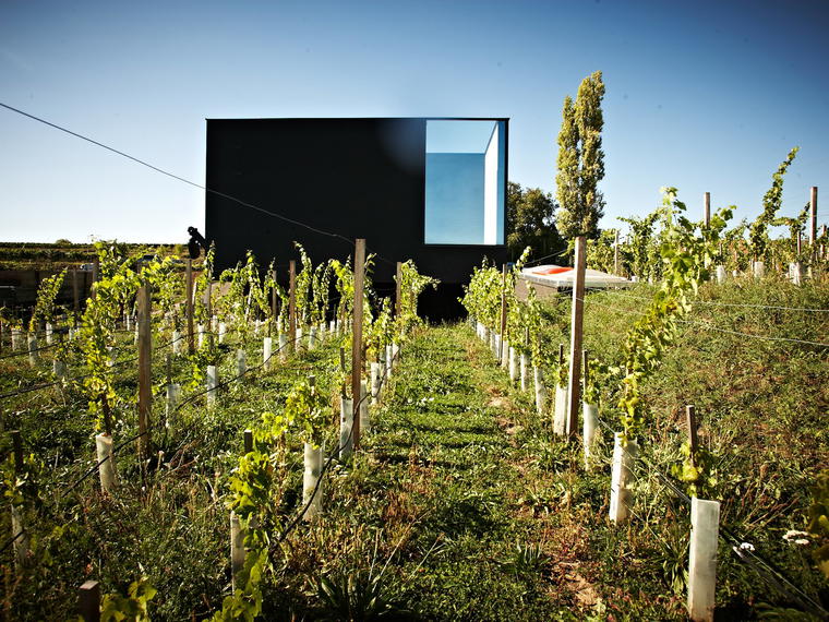 Weingut Fred Loimer, Langenlois, Austria