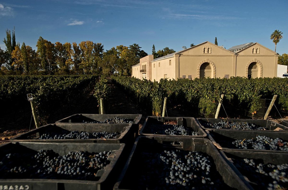 Bodega Casarena winery in Luján de Cuyo, Argentina