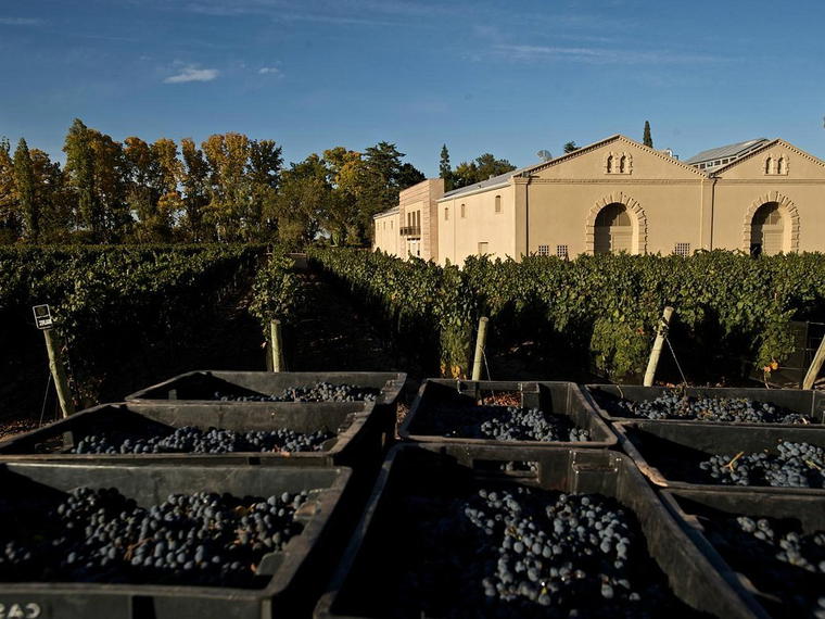 Bodega Casarena, Luján de Cuyo, Argentina