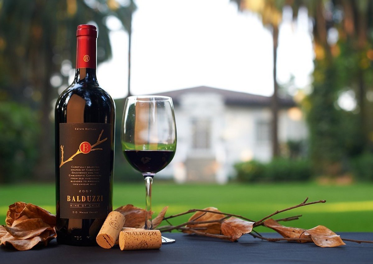 Balduzzi Winery winery in San Javier, Chile