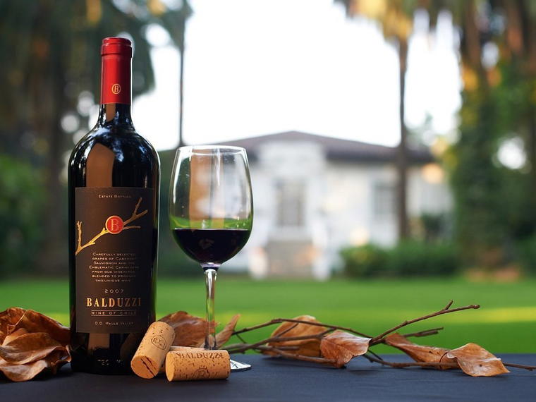 Balduzzi Winery, San Javier, Chile