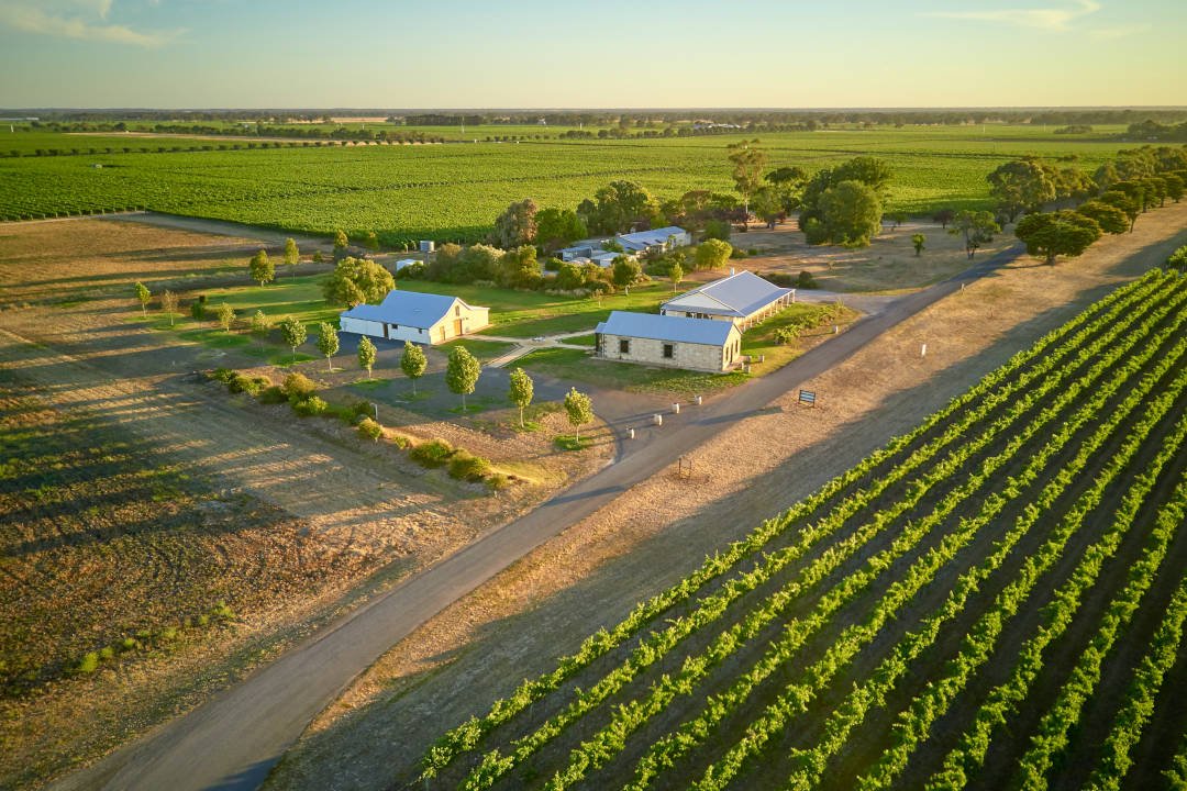Katnook Estate, Winery in Coonawarra