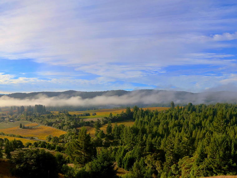 Panthea Winery, Philo, United States