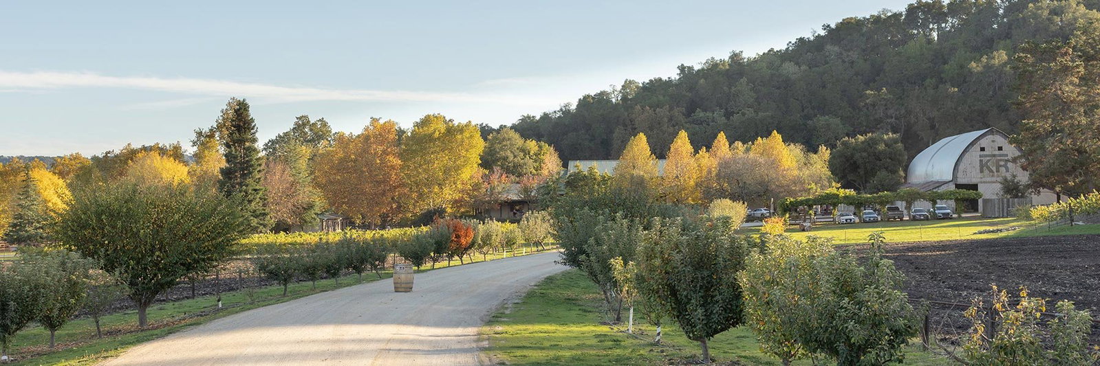 Thacher Winery