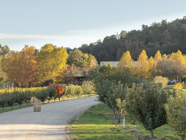 Thacher Winery, Paso Robles, United States