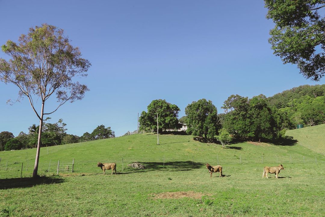 Lord Byron Distillery winery in Byron Bay, Australia