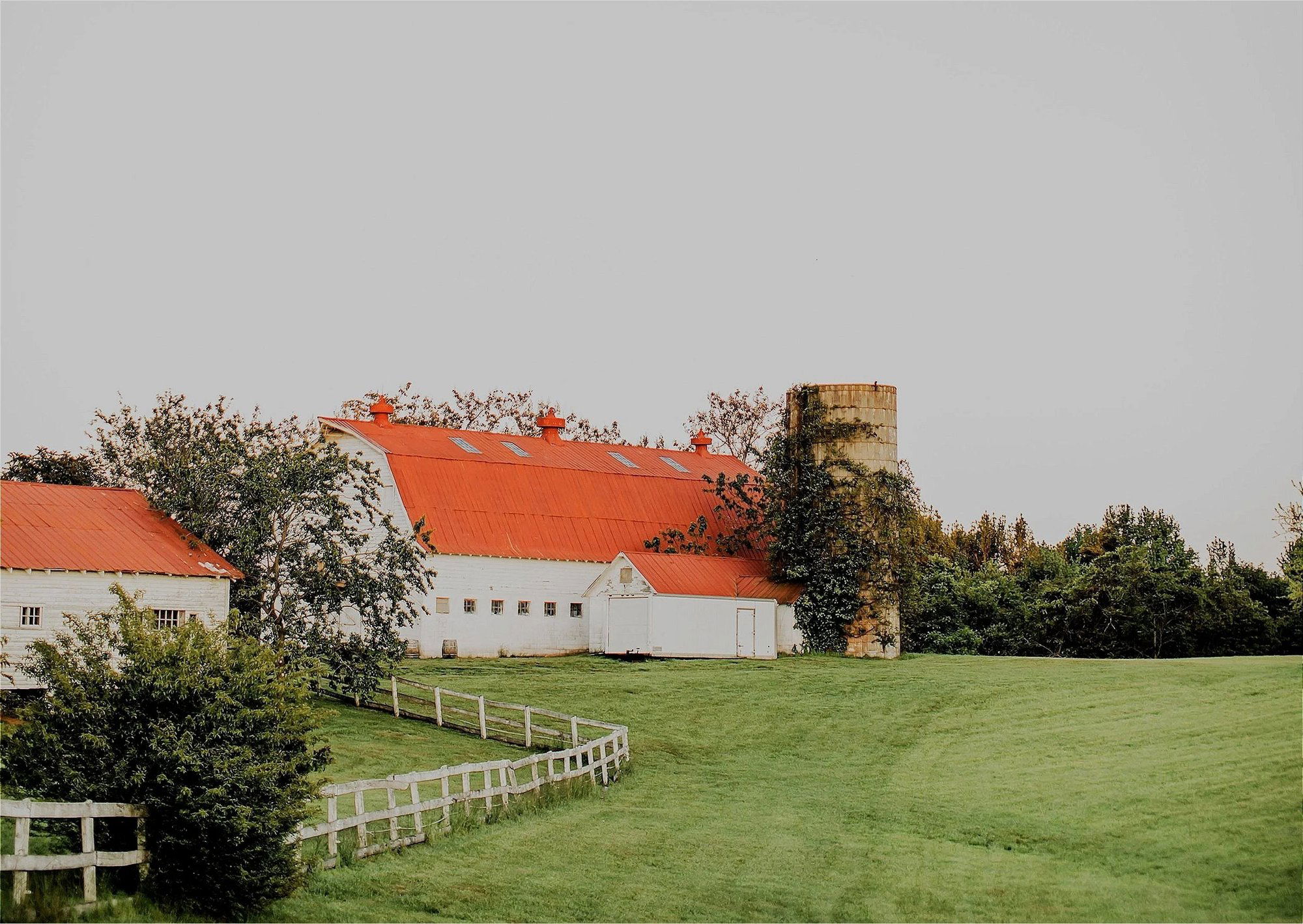 White Hall Vineyards, Winery in White Hall