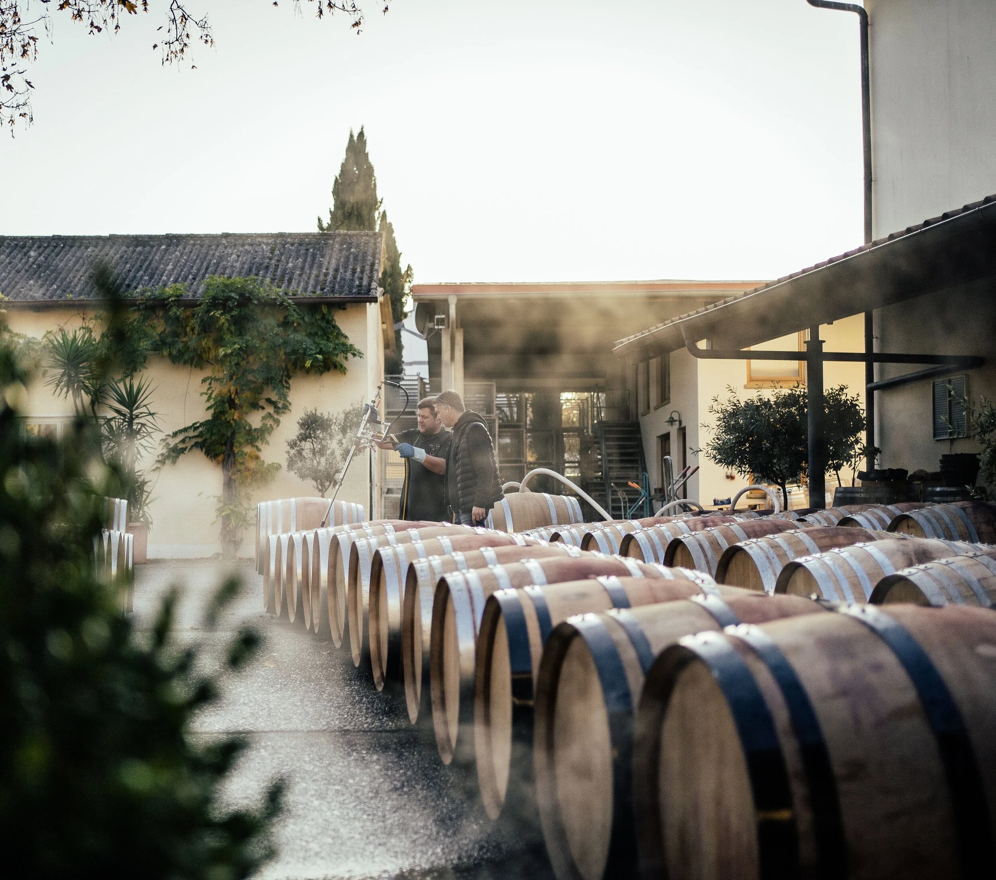 Weingut Philipp Kuhn winery in Laumersheim, Germany