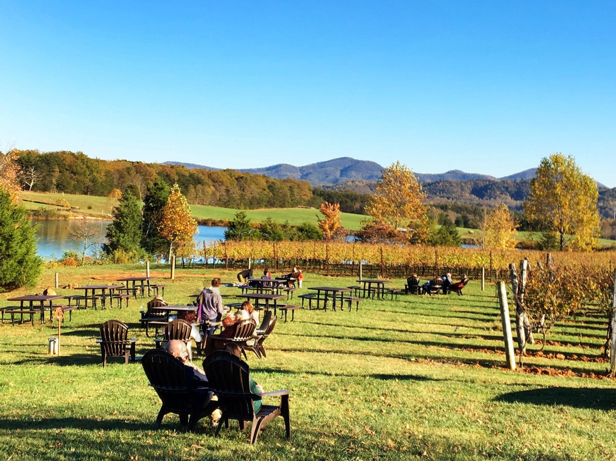 Afton Mountain Vineyards