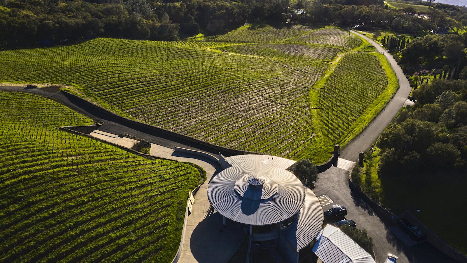 Bryant Family Vineyard winery in St. Helena, United States