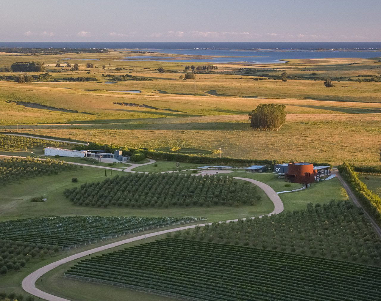 Bodega Oceánica José Ignacio winery in Maldonado, Uruguay