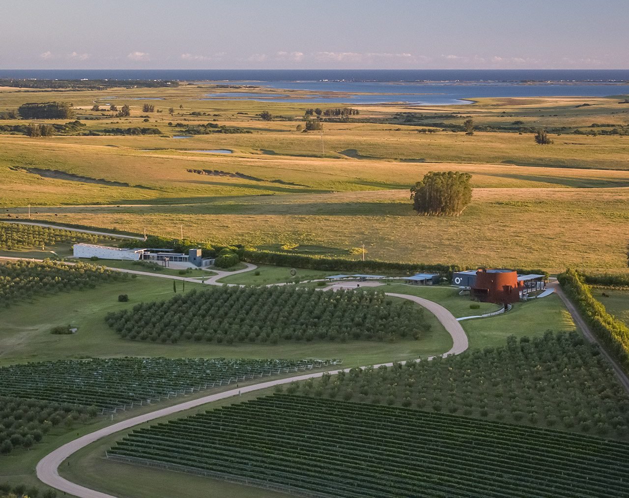 Bodega Oceánica José Ignacio winery in Maldonado, Uruguay