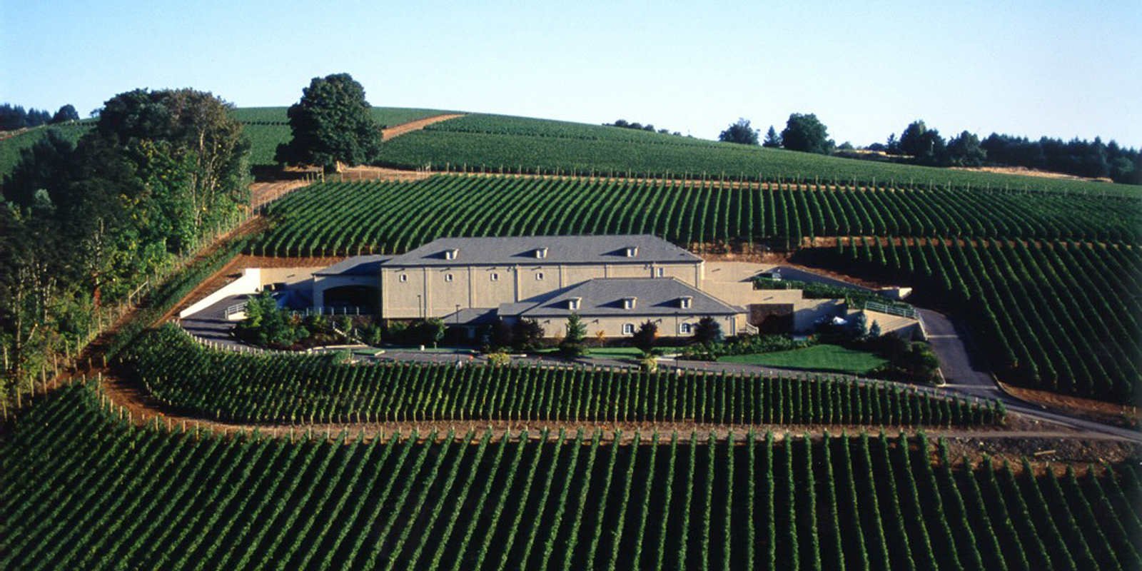 Archery Summit winery in Dayton, United States