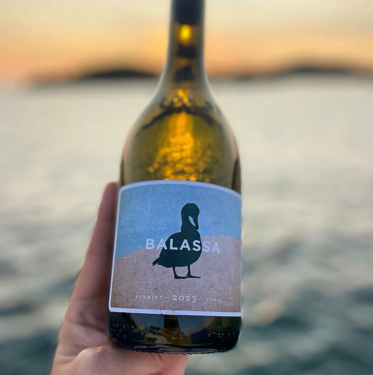 Balassa Winery winery in Tokaj, Hungary