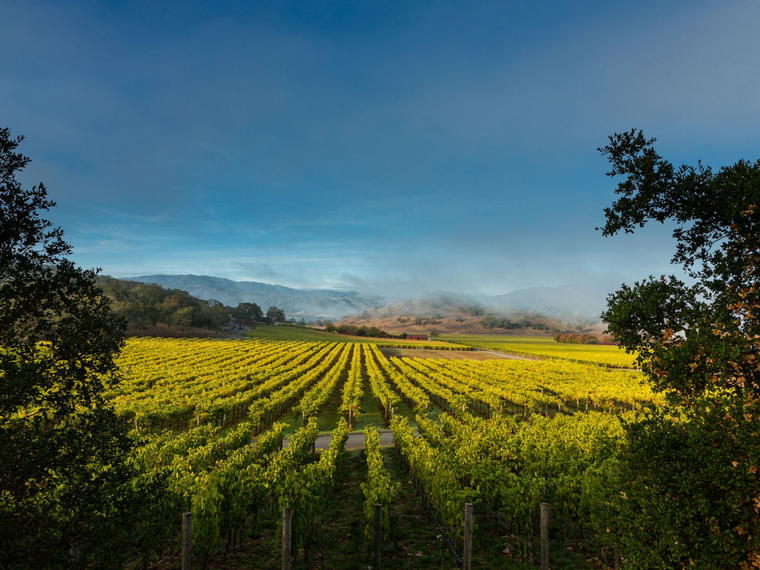 Screaming Eagle, Napa, United States