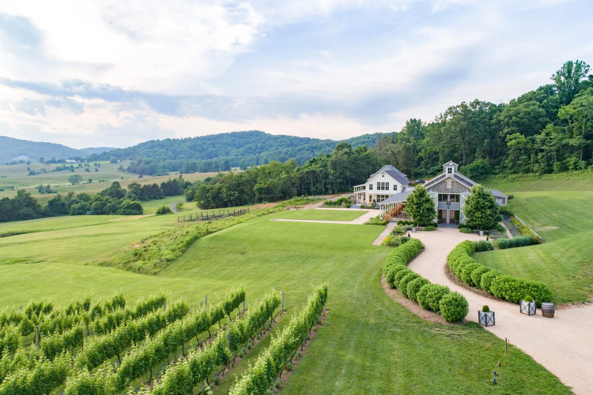 Pippin Hill Farm & Vineyards, North Garden, United States