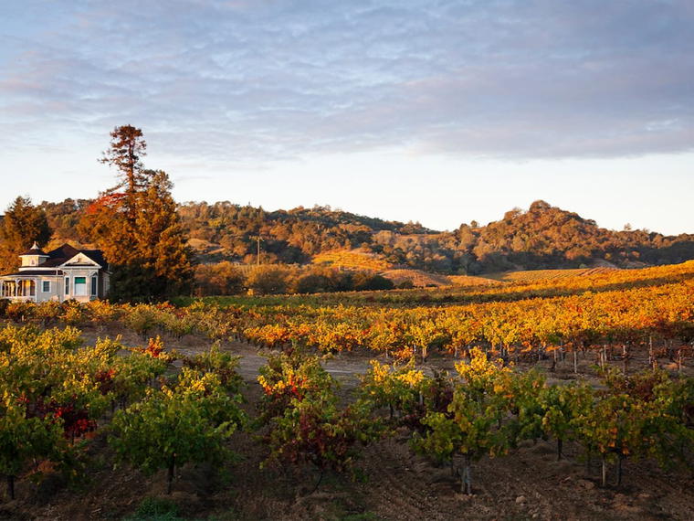 Dry Creek Vineyard, Healdsburg, United States