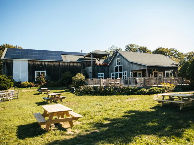 Paumanok Vineyards, Aquebogue, United States