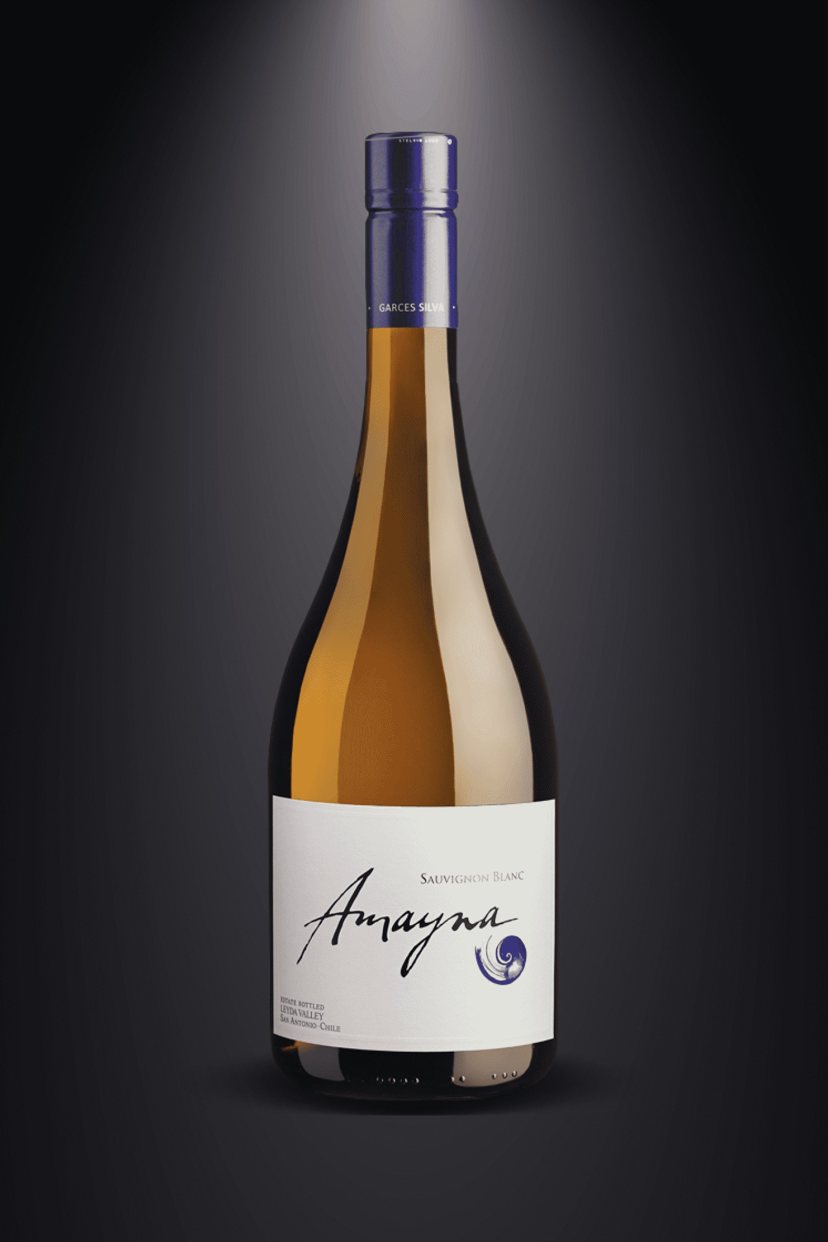 Viña Garcés Silva (Amayna) winery in San Antonio, United States