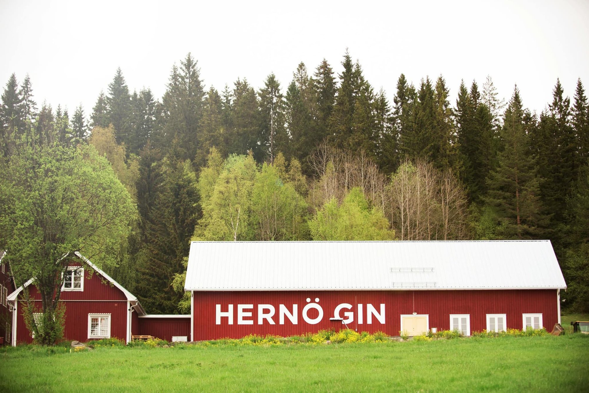 Hernö Gin winery in Härnösand, Sweden