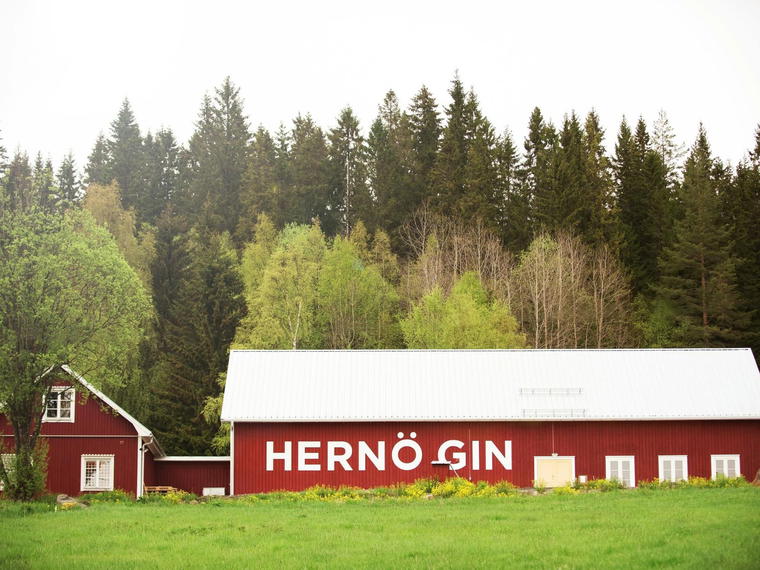 Hernö Gin, Härnösand, Sweden