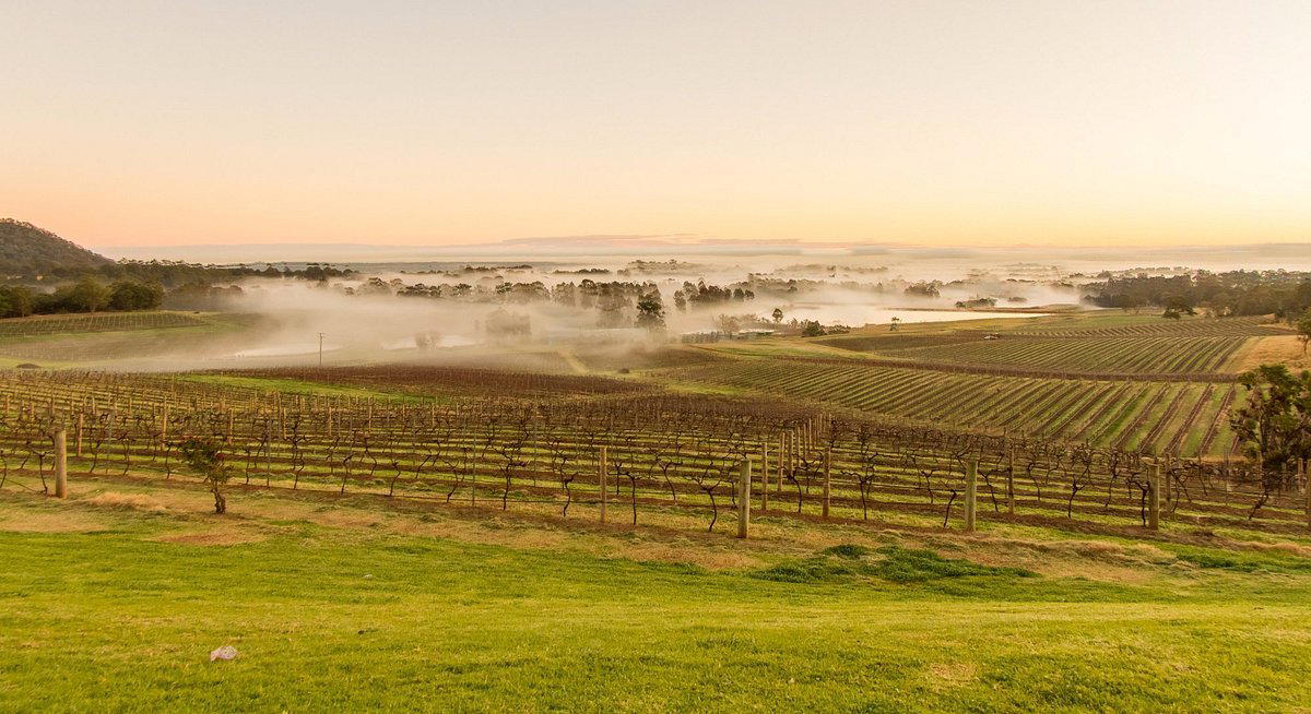 Audrey Wilkinson winery in Hunter Valley