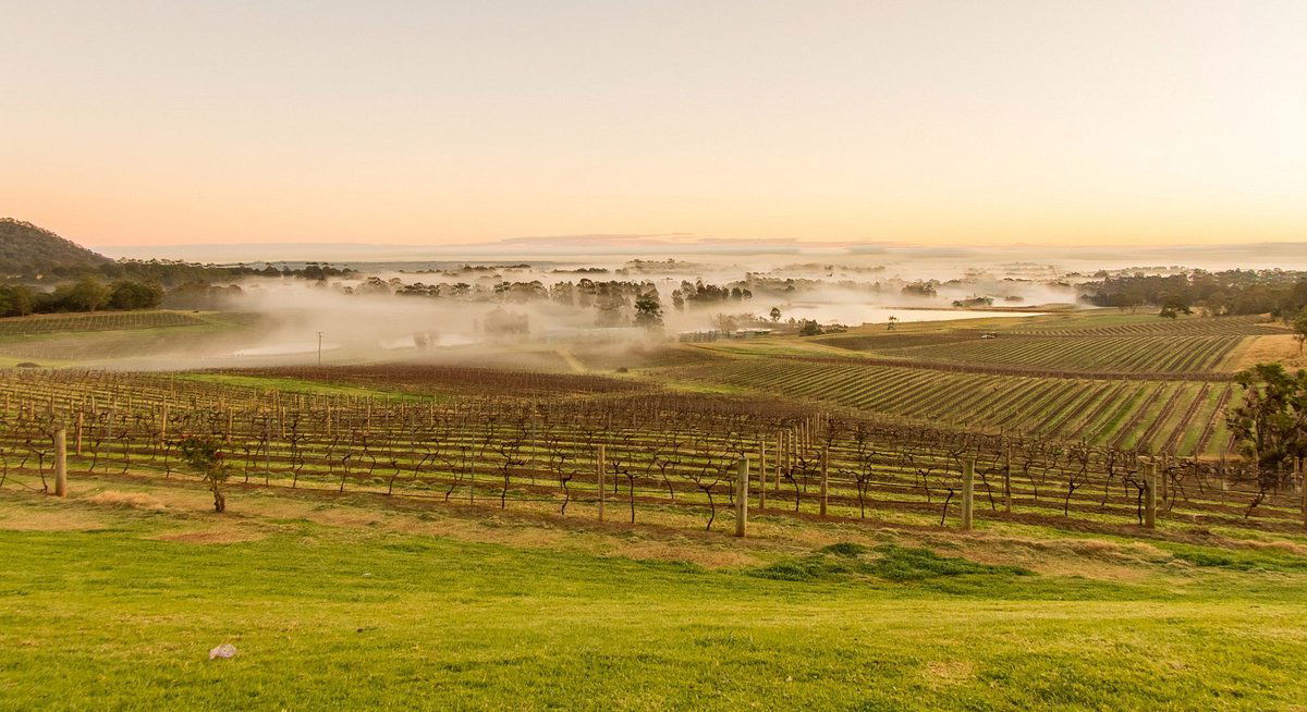 Audrey Wilkinson, Winery in Hunter Valley