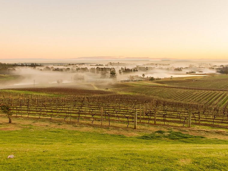 Audrey Wilkinson, Hunter Valley, Australia