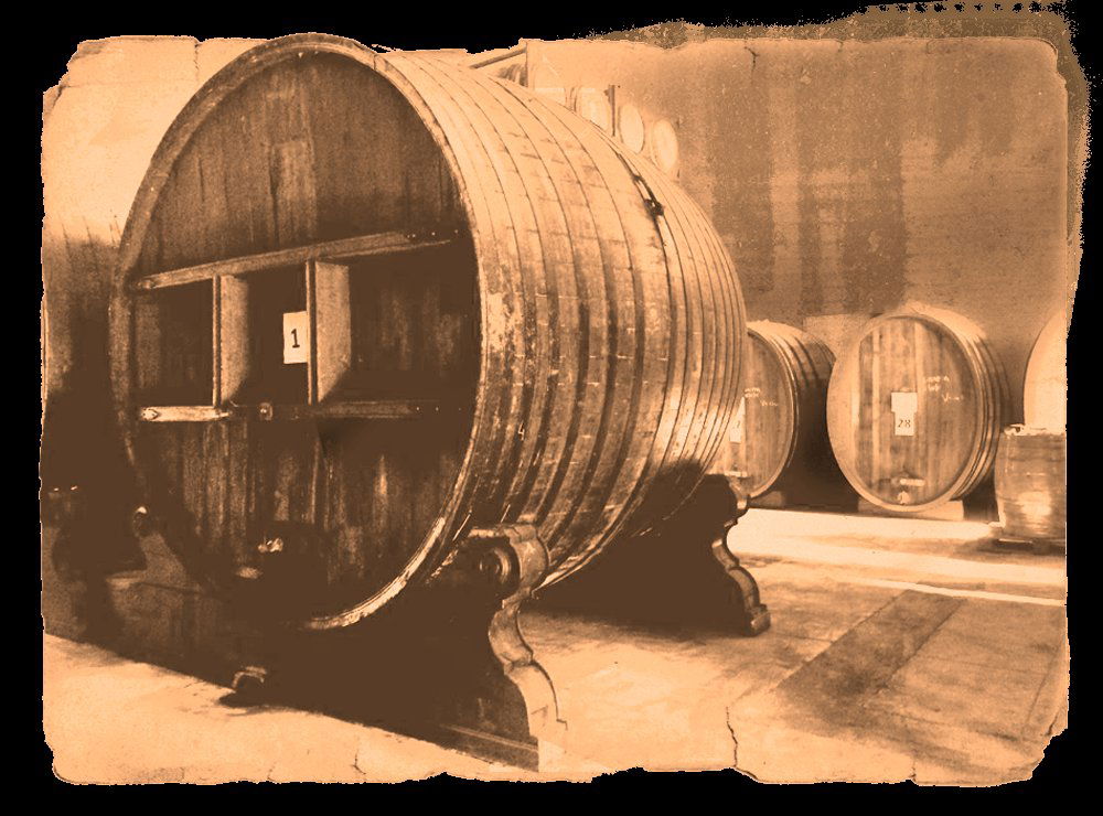 Distillerie Bonollo, Winery in Conselve