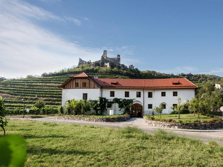 Wein-Gut Nigl, Senftenberg, Austria