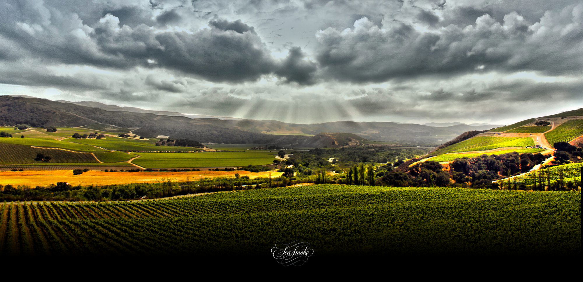 Sea Smoke, Winery in Santa Ynez