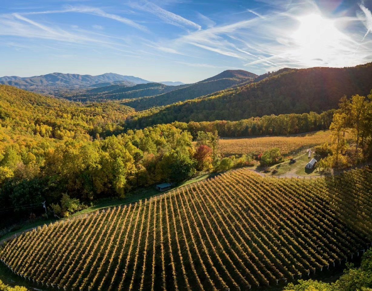 Ankida Ridge Vineyards, Amherst, United States