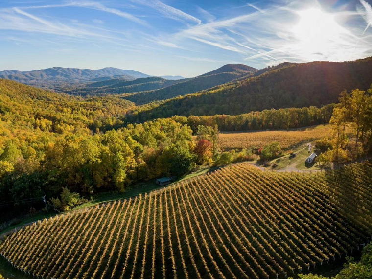 Ankida Ridge Vineyards, Amherst, United States