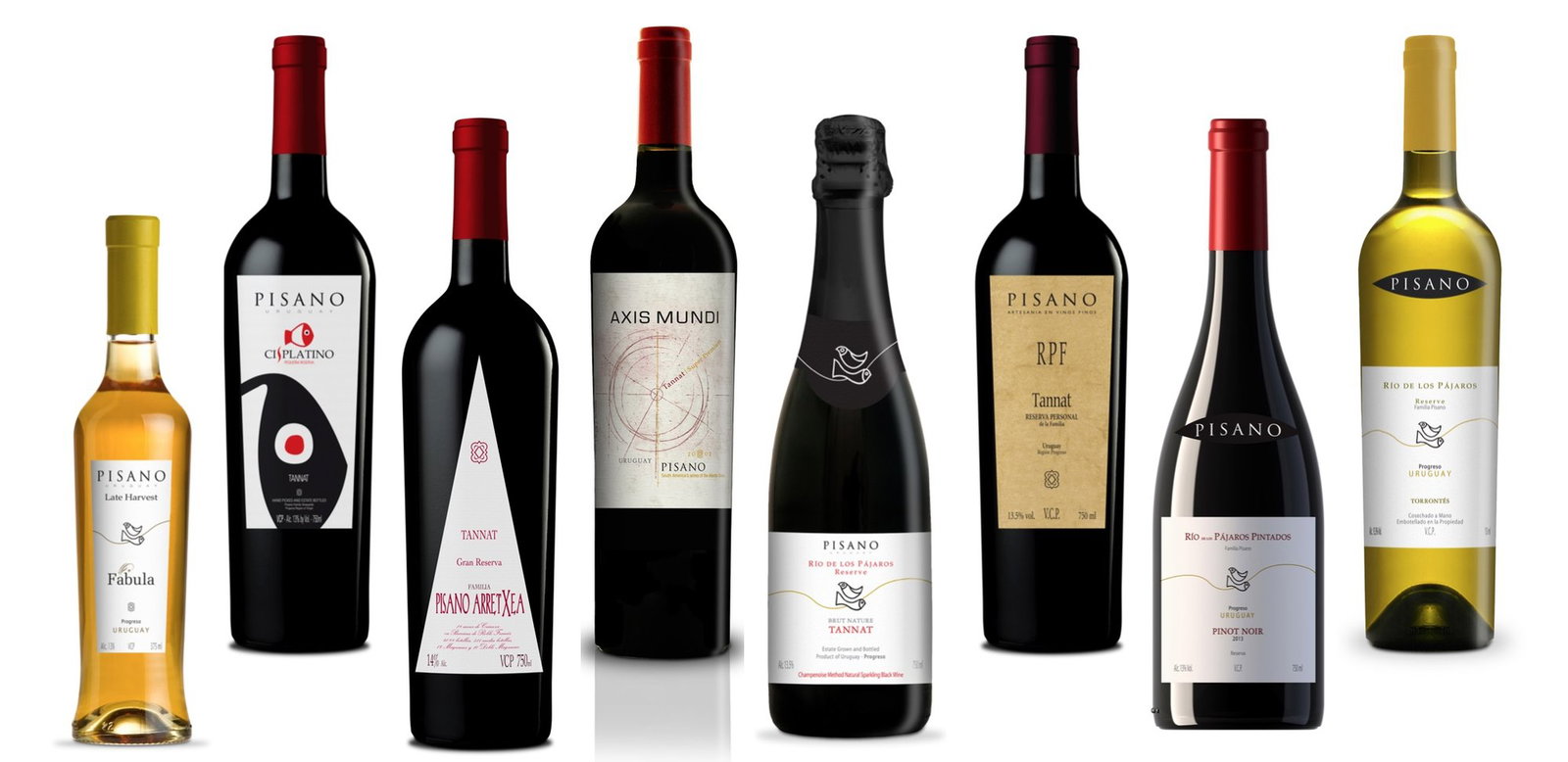 Bodega Pisano