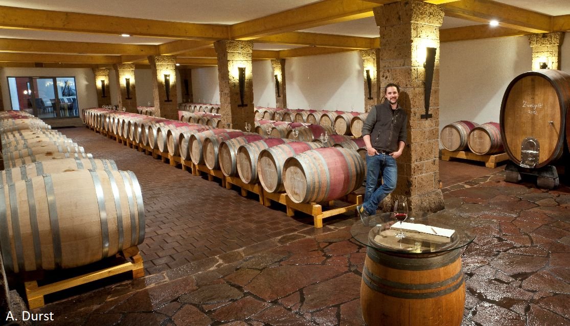Weingut Dautel winery in Bönnigheim