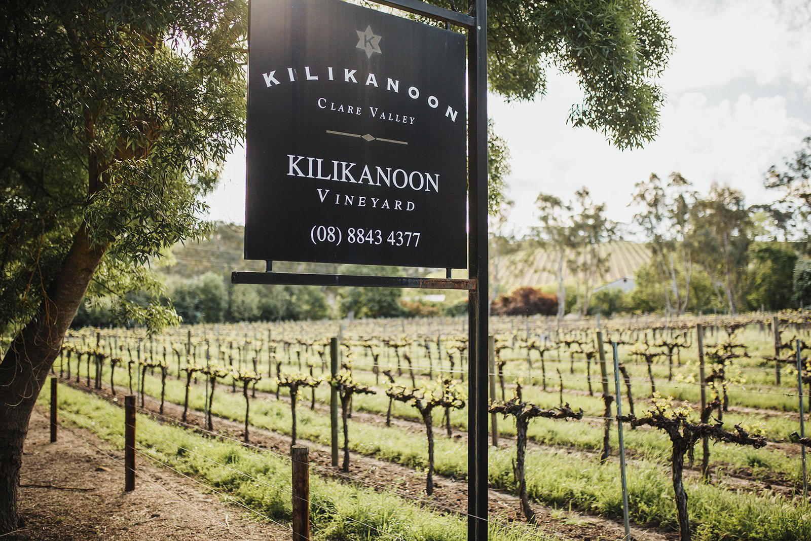 Kilikanoon winery in Clare Valley